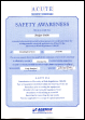 Acute Safety RS.pdf